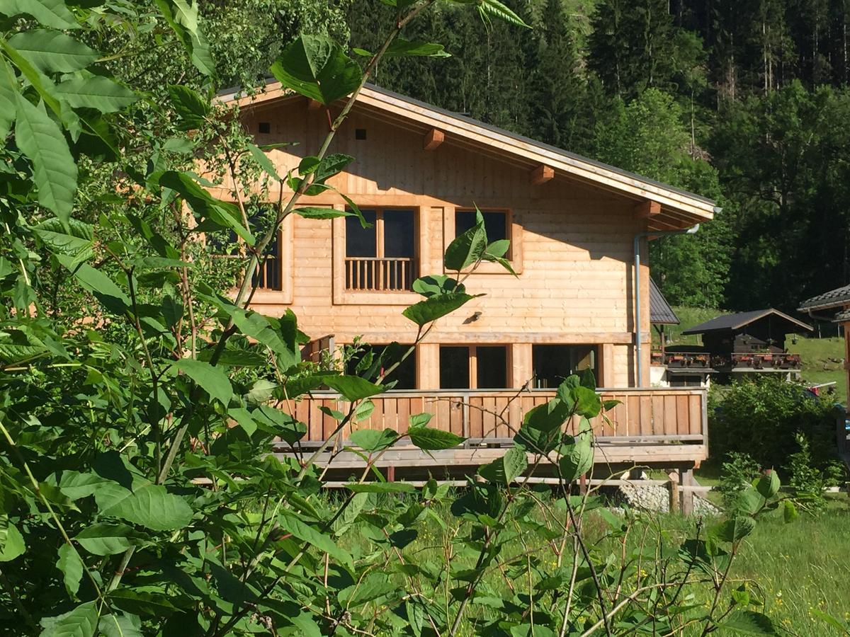 Les Chalets Aquarelle 霞慕尼 外观 照片
