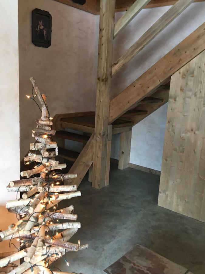 Les Chalets Aquarelle 霞慕尼 外观 照片