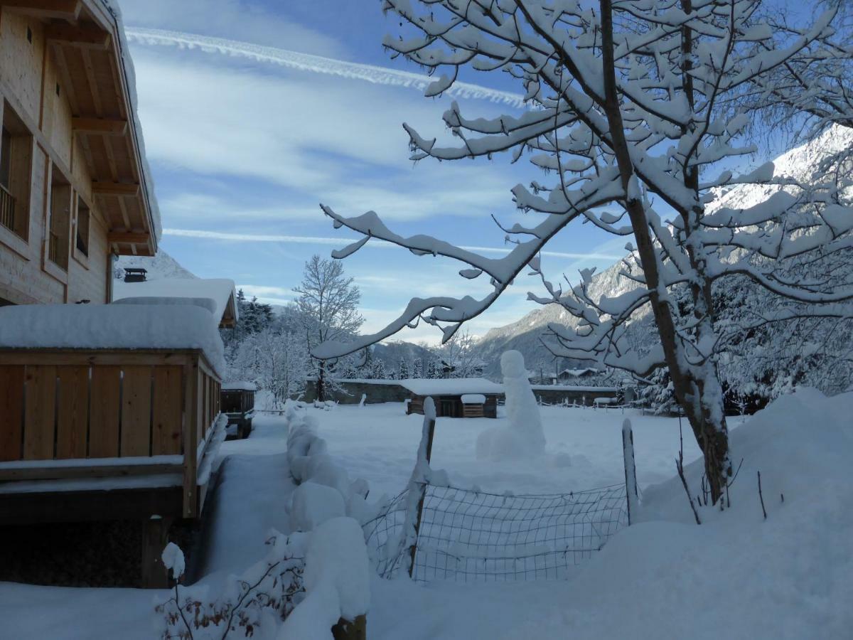 Les Chalets Aquarelle 霞慕尼 外观 照片